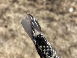 Snakey Juniper/Sinew Bow