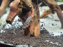 Hello all!
