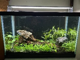 Flooded the dry start tank today- pretty happy with it