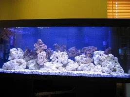 New Marine Tank!