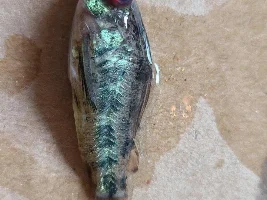 Hand Sanitisers & Aquariums?