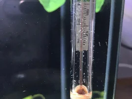 HELP PLEASE!