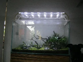 "Shattered Tree" - 140 ltr Opti-white