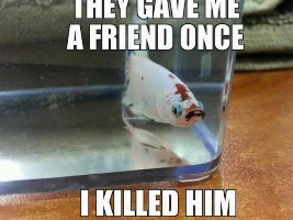 Daily Memes [Aquatic and non-Aquatic Memes]