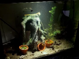 So Many Babies