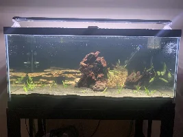 40 Breeder Community