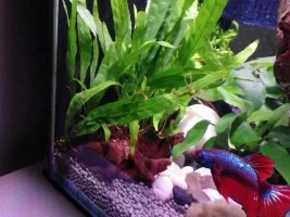 My New Project!