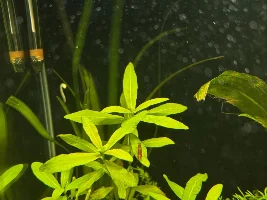 My 60L Cube