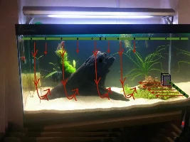 Ch4Rlies New 2.5 Feet Tank Journal