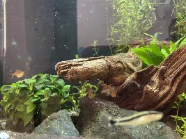 Hi there! I am new and I have a question 😌