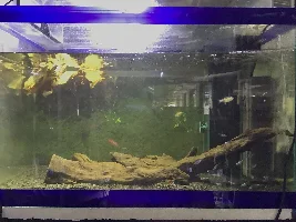 My first ever black water tank!