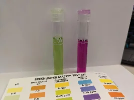 Struggling to read nitrite level (and is it too high for fishless?)