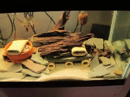 I have eggs!!!!!!!