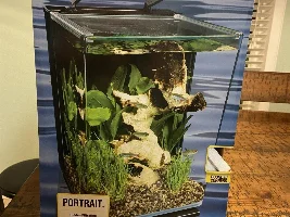 Check Out My New Betta Tank and Cycling Opinion