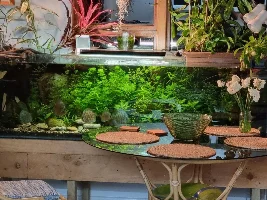 Here I go again 150 gallon reset.