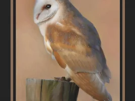 Thread for sharing art