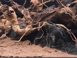 Aquatopia - 6x2x2 Low-Med Light, High Tech Nature Aquarium