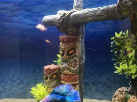 Betta losing colour?