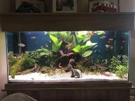 Lunar's 'New' Tank
