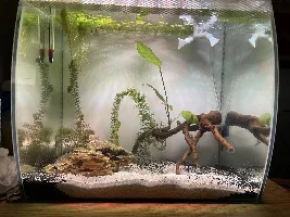 My new tank