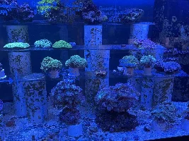 Fish Store Pictures