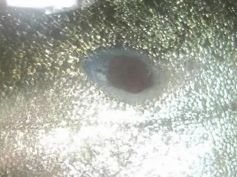 Silver Dollar,, Please Help