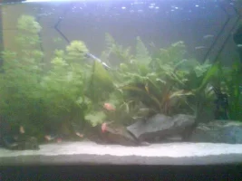 My Tank
