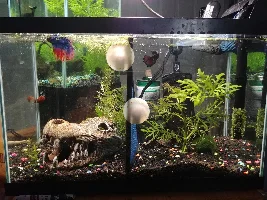 My Tanks!