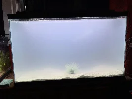 29g Saltwater Nano Tank