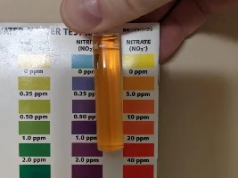 What are these brown clusters on the substrate?