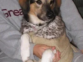 Cici's First Sweater. :)
