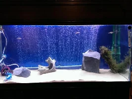Things For Hardscaping.