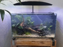 Will this table hold the tank…