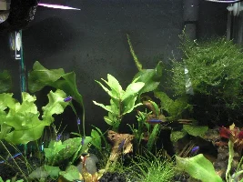 New to the hobby and need some assistance