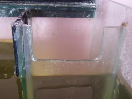 New 45gal community