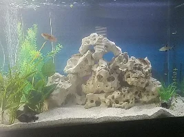 Hey first post, about substrate and cycling
