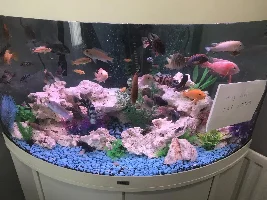 Question about seachem Malawi/ Victoria buffer