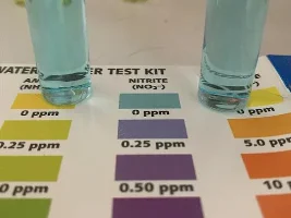 did i cycle my tank properly?