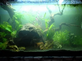 Finally tearing down ugly 57g, building new 36g to replace it!