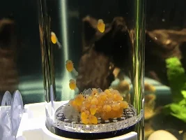 What's this called? Can't find one anywhere