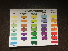 What is the best test kit to use