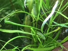 Leaking Tank Leads To New Beginnings