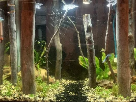 A Work In Progress