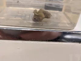WHAT IS THIS!?!?