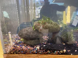 Newest set up