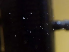 Help Needed - What Are These?