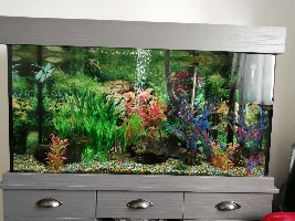 Am i overstocked