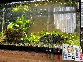 Confirmation of my thoughts and research for my first tank.