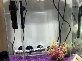 Hi