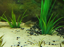 Hello all!